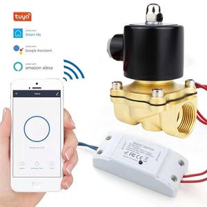 Smart Wireless Remote Control Water Valve WiFi Solenoid Valve Normally Closed Brass 2W Solenoid Valve Used for Water Pipes