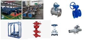 American 6A/Plate Gate Valve/High Pressure