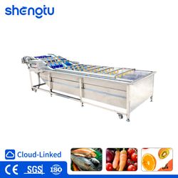 Industrial Grade Multi-Lane Automated High Output Fruit Air Bubble Cleaning Machine