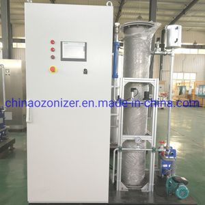 500g Oxygen Source Ozone Generator for Waste Water, Drainage, Drinking Water Treatment