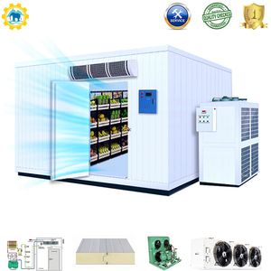Big Cold Room Cold Storage Freezer Room