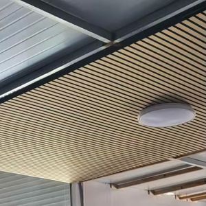 Wood Plastic Composite Modern Decoration Home Decoration Interior Wall Panel
