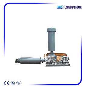 High Quality Positive Displacement Roots Blower for Fish Shrimp Farming