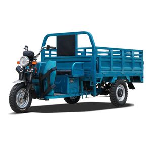 2024 High Quality New Product Electric Household Passenger Tricycle