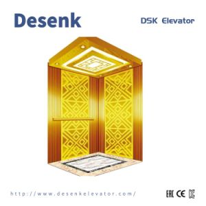 Small Machine Roomless Passenger Elevator Lift Cheap Home Elevator Supplier