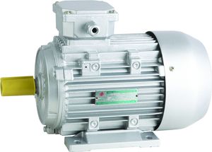 MS Series Aluminum Housing Three Phase Induction Motor