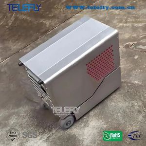 Silent Diesel Generator Set TF-Dg3000 3kw Diesel Power Generator
