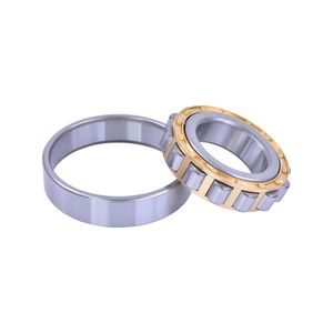 Best Selling High Precision Cylindrical Roller Bearing N309 Nu309 NF309 Nj309 Nup309