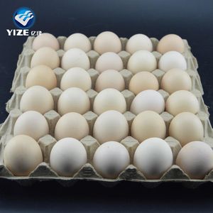 Factory Supply 30 Paper Egg Tray for Sale