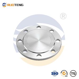 [Ruoteng] AISI 316 316L Blind Flange Pipe Fitting ANSI B16.5 Forged Flanges Stainless Steel Bl Flange for Industry