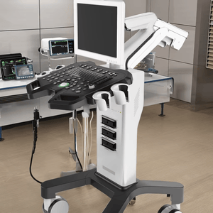 Full Digital Color Doppler Veterinary Ultrasound Scanner Best Electric Diagnostic Machine with Linear Probe for Sale