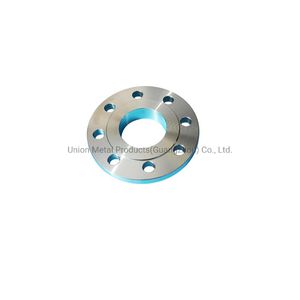 Stainess Steel Raised Face Flange (RF) SS304/SS316 Pipe Flange