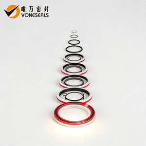 Voneseals Hydraulic Seal Kit Mechanical Seal Custom Seal for Excavator