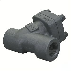 Wear-Resistant, High-Temperature Resistant and Medium Backflow Prevention Valve