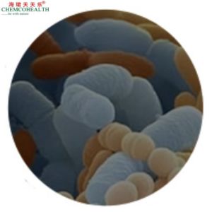 High Quality and High Stability Raw Material Food Additive 200 Billion Cfu/G Lactobacillus Acidophilus