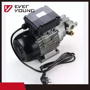 Good Quality Low Noise AC 230V Gear-Type Oil Pumps Electric Transfer Pump
