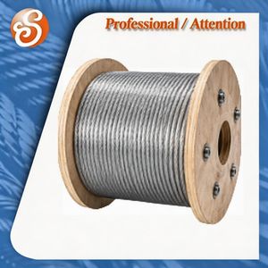 Hot Dipped Galvanized Steel Wire for Construction