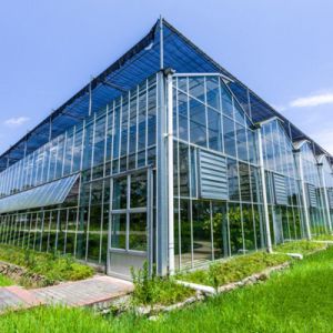 Agriculture/Commercial/Garden Glass Greenhouse with Cooling System