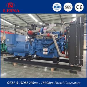 Special Offer: Leina Low Fuel Consumption, Protective and Durable Diesel Generator Set (with Engine)