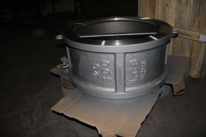 Wcb/CF8/CF3/Gr4a/Hastelloy C Wafer Type Double Disc Check Valve