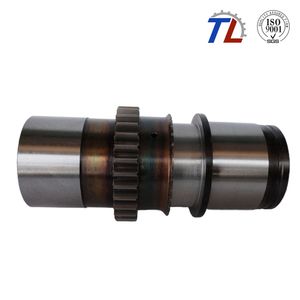 High Quality Spline Turbine Worm Gear Shaft for Machine Tool with ISO9001