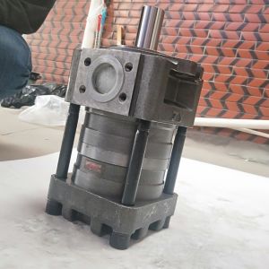 Nt3 Series Internal Gear Pumps for Bending Machine Position Nt3-C40/50/63f Nt3-D20/25/32f Nt3-G20/25/32f