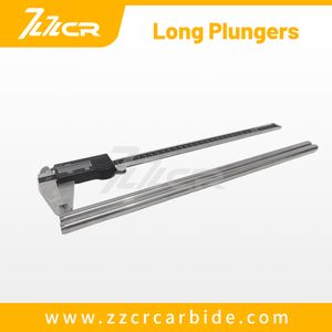 Zzcr Wear Resistant Materials Carbide Valve Seat / Plunger