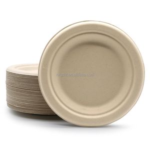 Hot Sale Disposable Sugarcane Pulp Bagasse Paper Plates