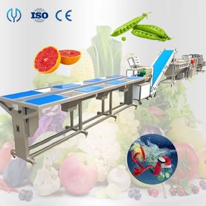 Salad Cabbage Bubble Washer Food Bags Fruit and Vegetable Washing and Drying Processing Line