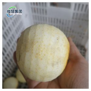 Commercial Fruit Peeling Machine for Persimmon Processing Industry