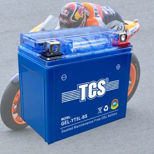 TCS Sealed Maintenance Free Gel Battery for Most Motorcycles (GEL-YT5L-BS)