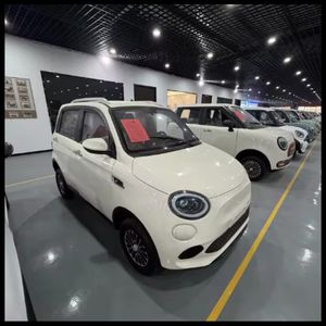 High Payload Fiyat 900kg Capacity Electric Car with 5000W Motor and Lithium Battery