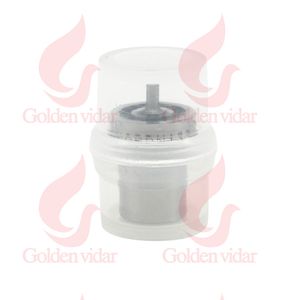 Golden Vidar Dnopdn133 Common Rail Diesel Fuel Injector Nozzle Dnopdn133 Fuel Oil Nozzle Dnopdn133