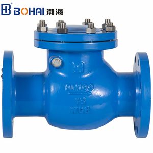 Swing Type Check Valve Horizontal or Vertical