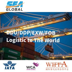 D2d LCL Freight Forwarder Shipping to Hungary USA Canada Ex-Works Fob Fca