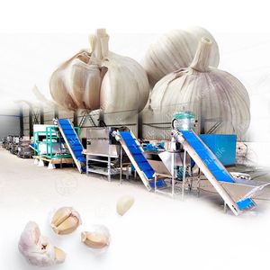 Commercial Garlic Peel Machine Garlic Peeling Line