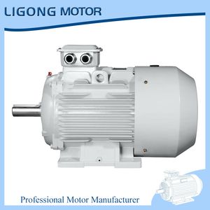 0.55kw 1425rpm Ye5-80m1-4 Three-Phase Induction Electric Motor 4-Pole Ie5 High Efficiency