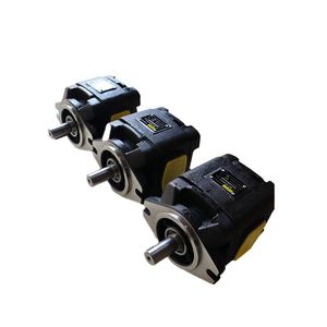 ISO Quality Certified Hydraulic Gear Pump, Low Noise High Efficiency Mechanical Transmission Gear Oil Pump