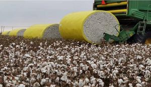 Automatic Cotton Picker Packing Bale Wrap Film