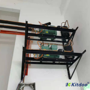 Cold Storage Room with Refrigeration Unit for Meat/Fish/Poultry/Vegetable/Fruit/Beverage