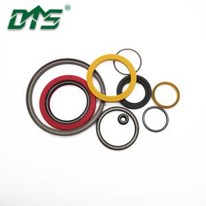 Different Type Special Spring Energized PTFE Seal/Variseal