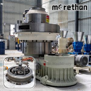 The Eighth Generation Vertical Ring Die Wood Pellet Mill Machine Biomass Pelletizer Sawdust Bamboo Granulator Waste Wood Pellet Machine