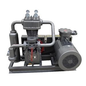 Affordable High-Performance Oil-Free LPG and CNG Compressor with CE Certification