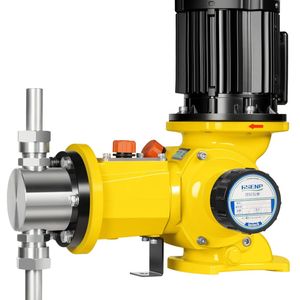 Industrial Strength Efficient Plunger Metering Pump for Diverse Applications