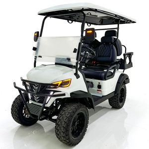 Provide Special Customization Lithium Battery Buggy Club Car 4 Seater Forward Cart off Road Electric Golf Cart
