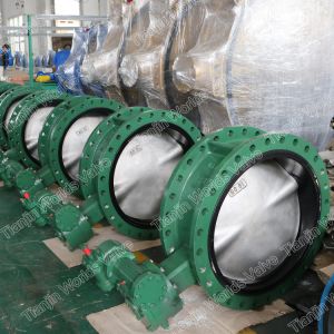 A126 Class B A395 A536 Wcb Double Flanged Butterfly Valve Awwa C207 Awwa C504