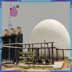 Biogas Purification Storage & Utilization Equipment for Waste Recycling Energy Project