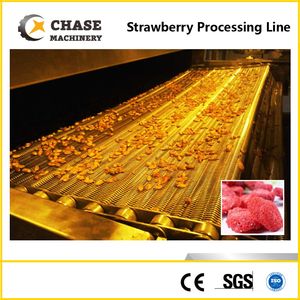 Fruit and Vegetable Chips Processing Equipment Line From Shanghai Chase