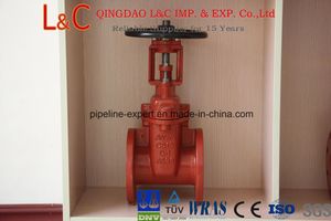 Resilient Seated Gate Valve Osy Flanged End Awwa DIN BS