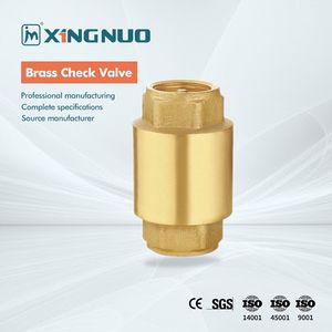 High-Precision Customized Size and Logo CV5005 Swing Brass Check Valve